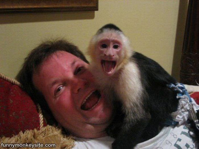 Happy Monkey Is Happy