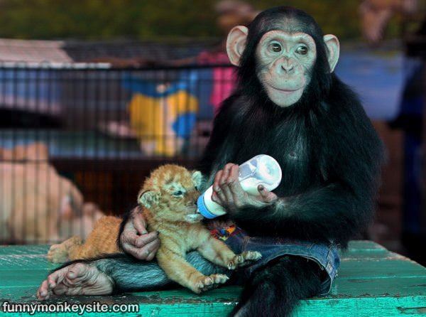 Helping With Feeding