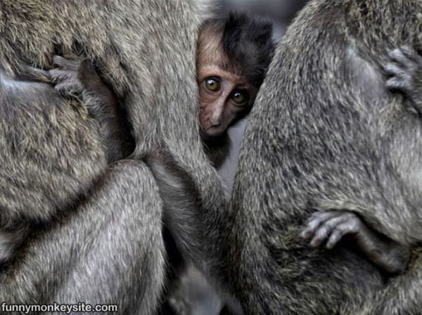 Hiding Behind Mommy