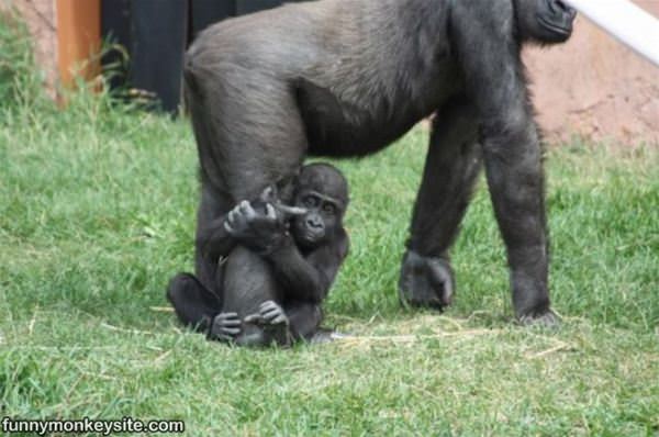 Not Letting Go Of You Mom