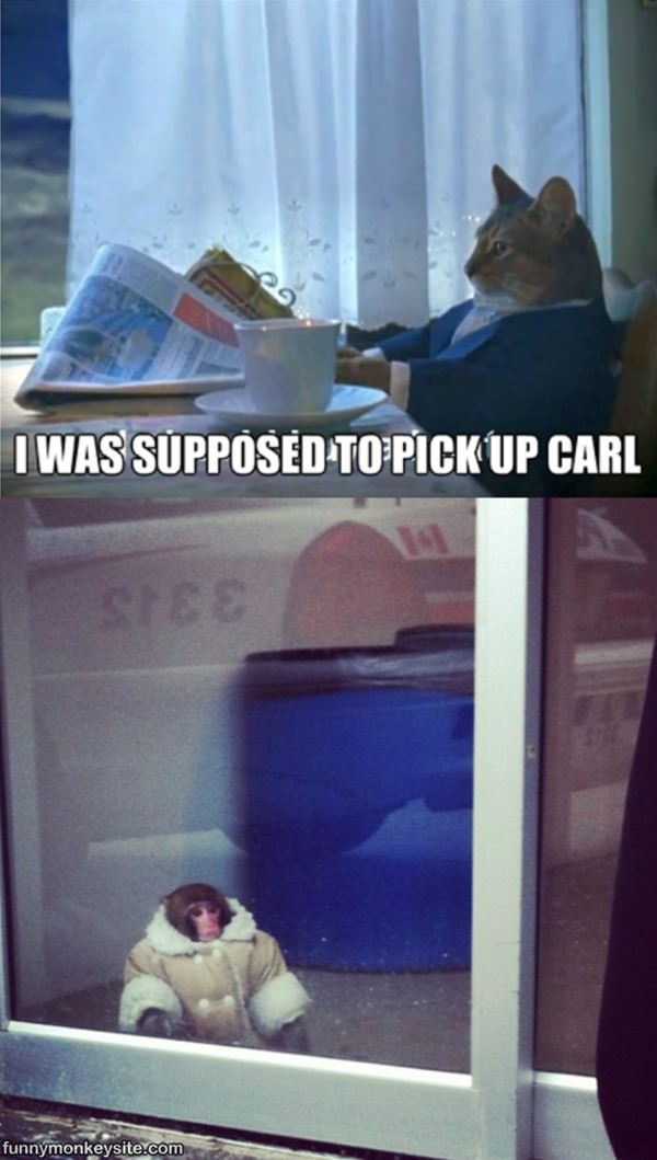 Pick Up Carl