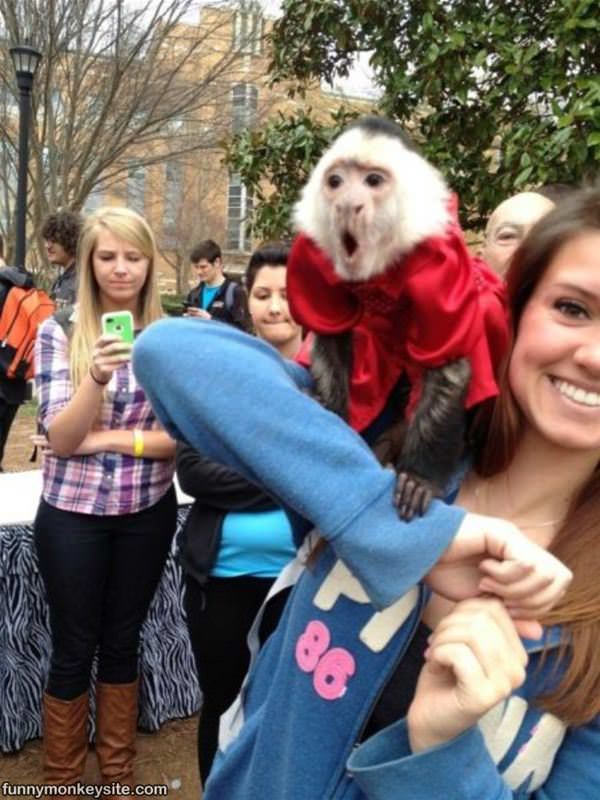 The Monkey Is So Happy