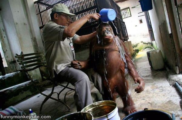 This Is How I Take A Bath