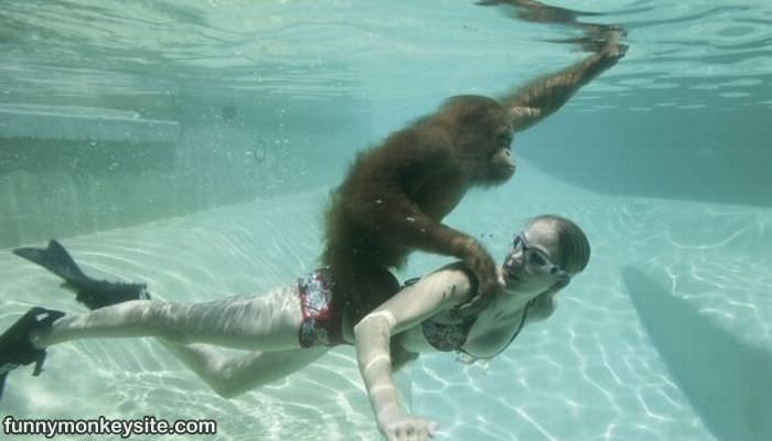 Under Water Monkey