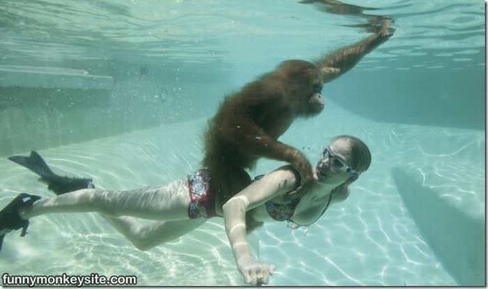 Underwater Monkey Ride