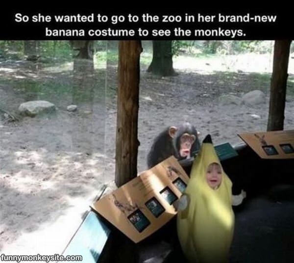 Went To The Zoo